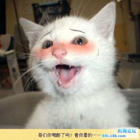 未命名1.jpg