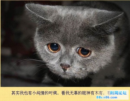 未命名2.jpg