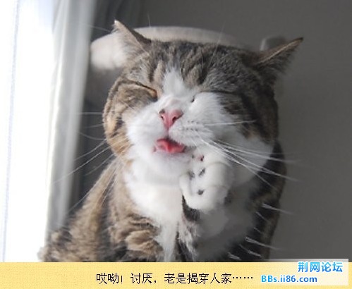 未命名3.jpg