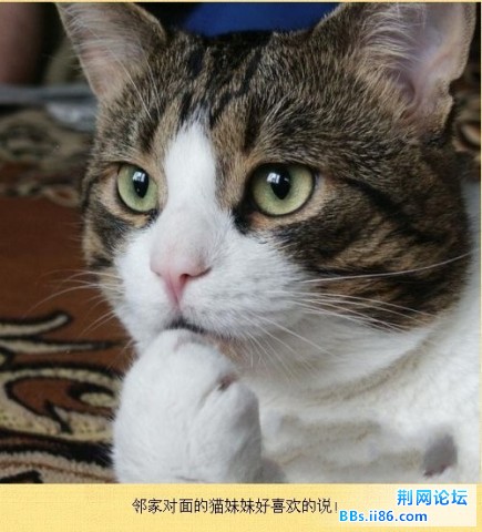 未命名4.jpg