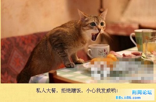 未命名6.jpg