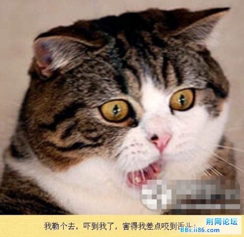 未命名7.jpg