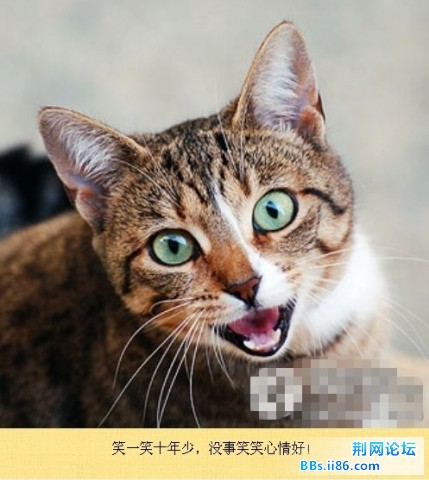 未命名8.jpg