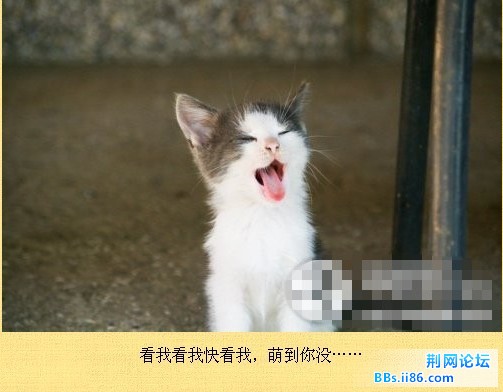 未命名12.jpg