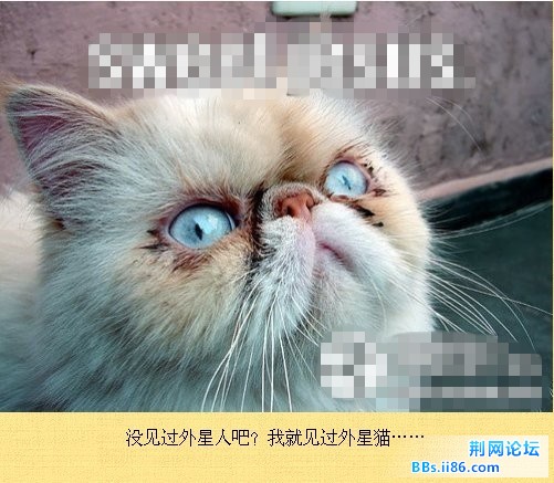 未命名13.jpg
