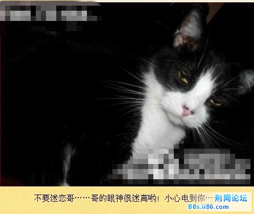 未命名15.jpg
