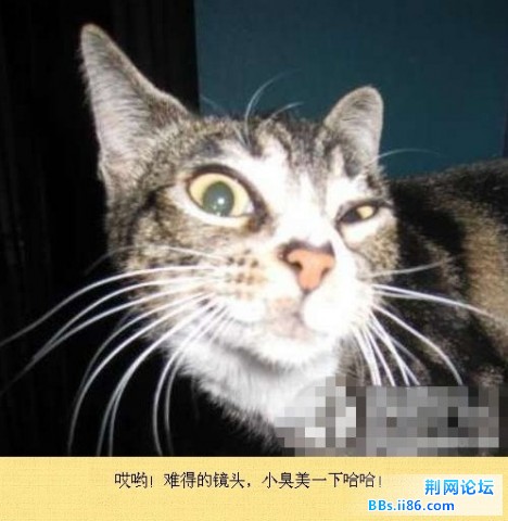 未命名17.jpg
