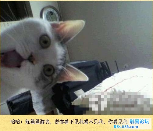 未命名18.jpg