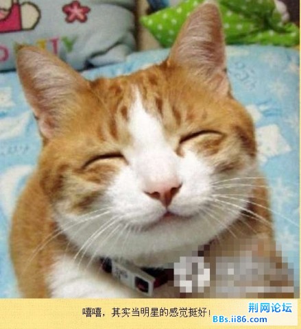 未命名19.jpg