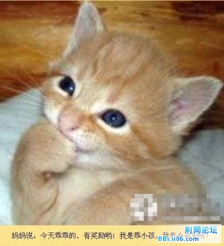 未命名20.jpg