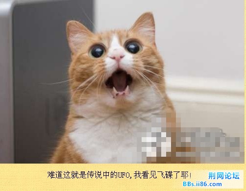 未命名21.jpg