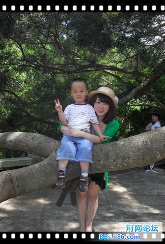 SAM_1849_副本.jpg