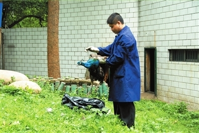 102.jpg