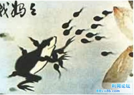 未命名6.jpg