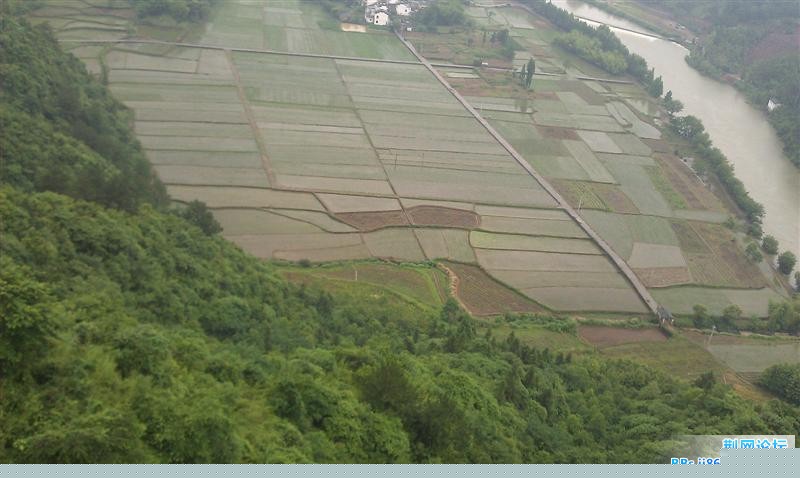 IMAG0401 (中等).jpg