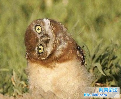 QQ截图未命名.jpg