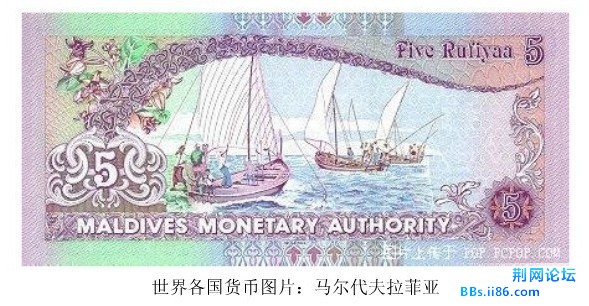 未命名15.jpg