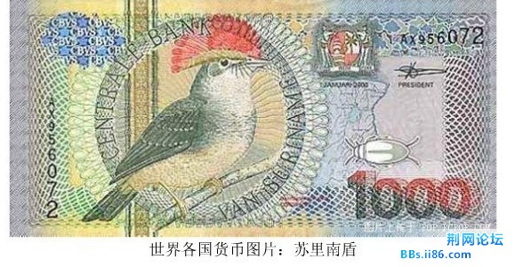 未命名40.jpg