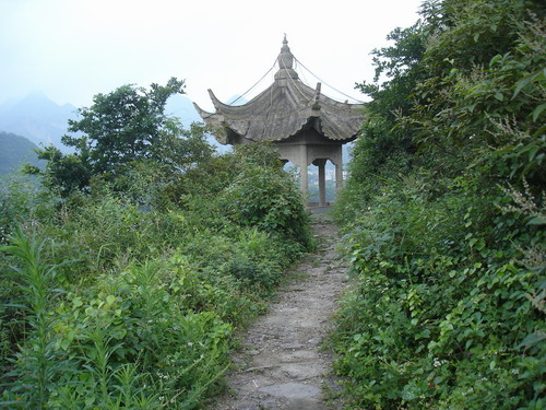 DSC05553.JPG