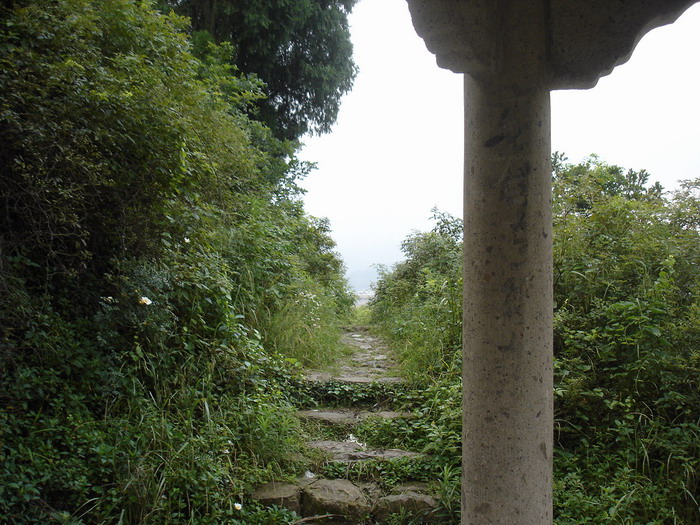 DSC05579.JPG