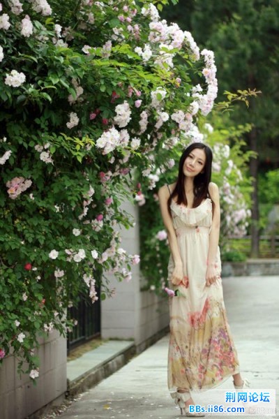 李沚柯