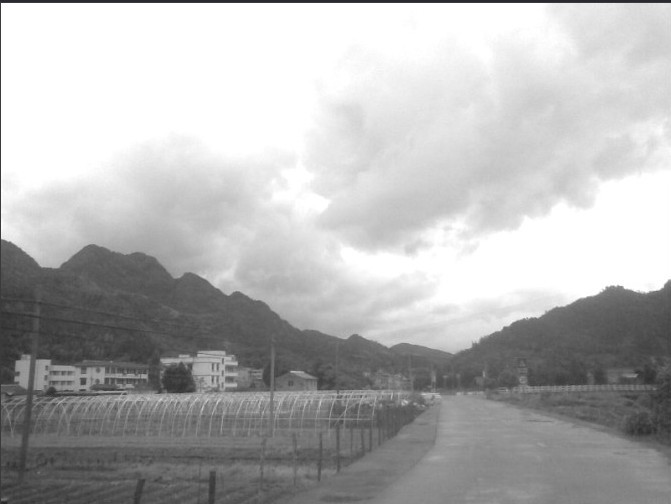 未命名005.jpg
