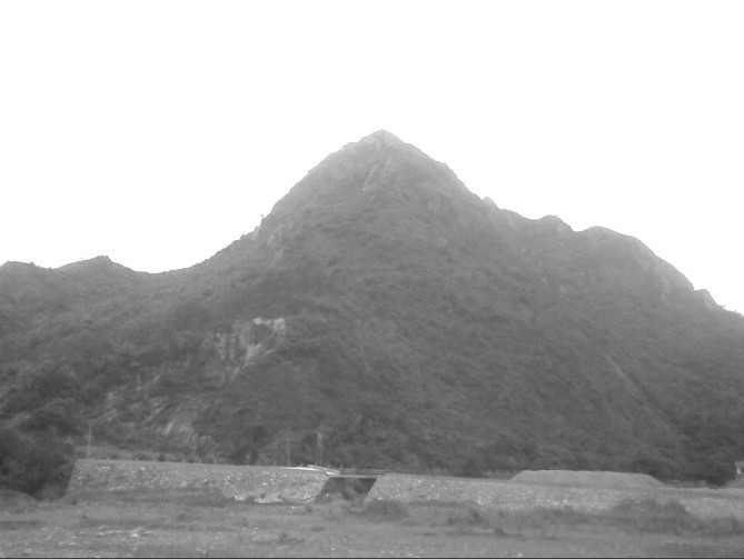 未命名0011.jpg