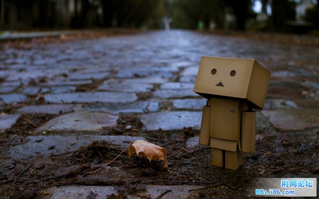 201101.jpg