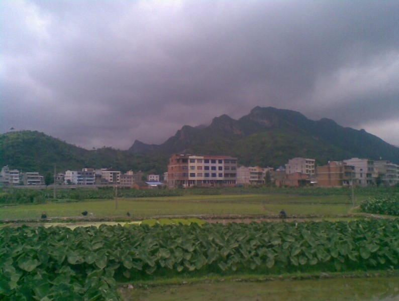 未命名9.jpg