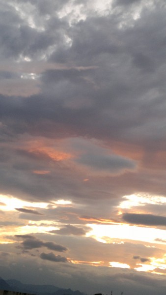 20110625446.jpg