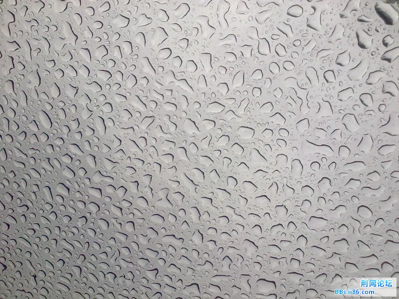 20110629148.jpg
