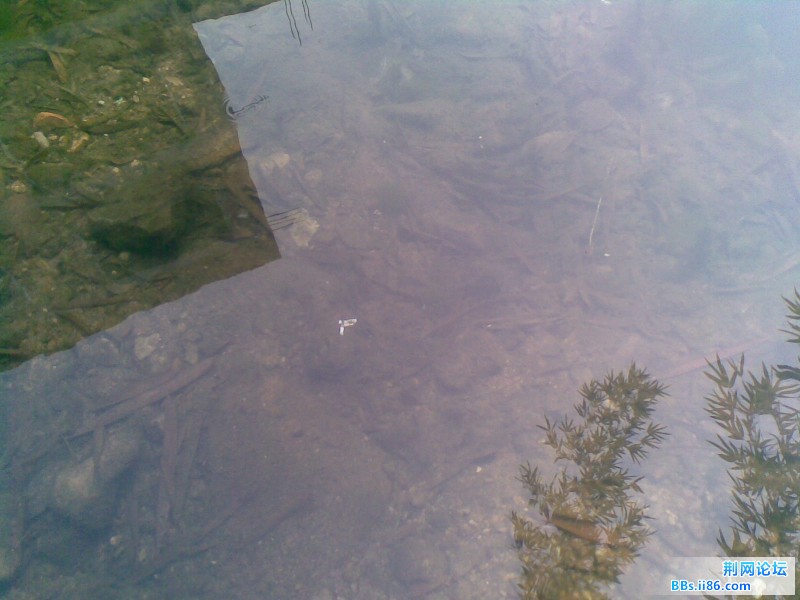 20110705(003).jpg