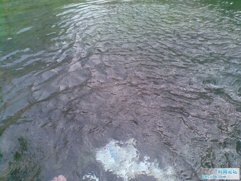 20110705(004).jpg
