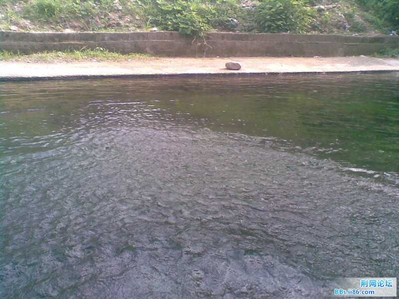 20110705(005).jpg