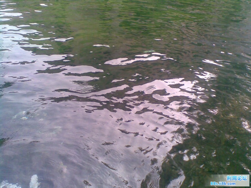 20110705(006).jpg