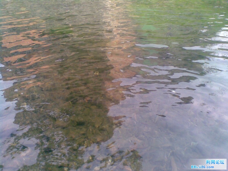 20110705(007).jpg