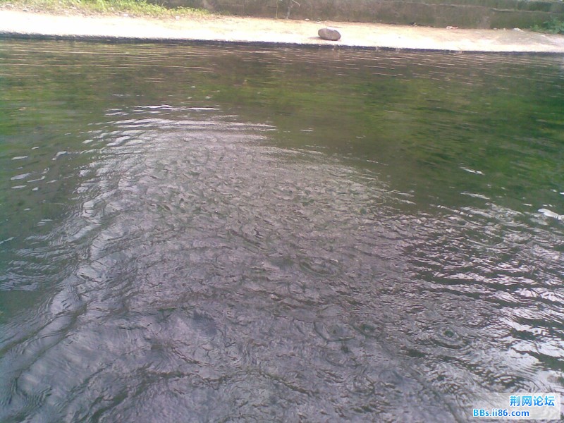20110705(009).jpg
