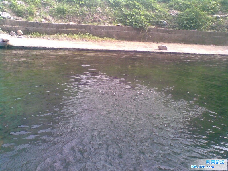 20110705(011).jpg