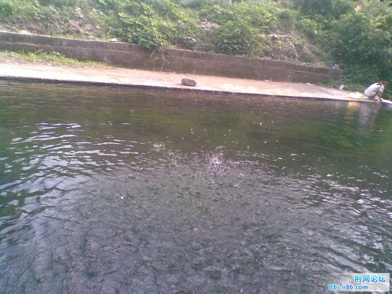 20110705(014).jpg