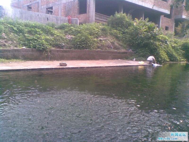 20110705(015).jpg