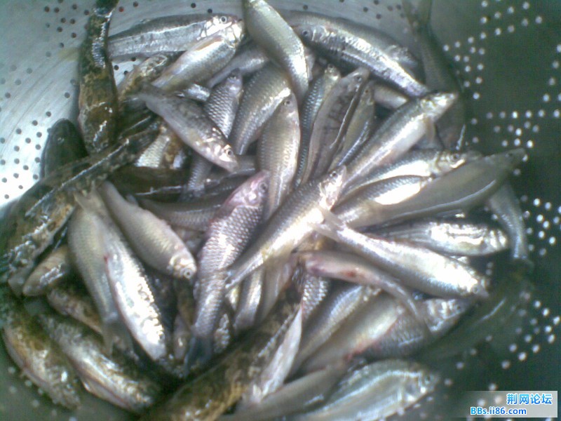 20110706(002).jpg