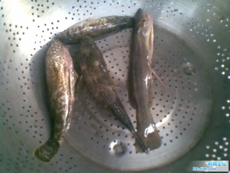 20110706(003).jpg