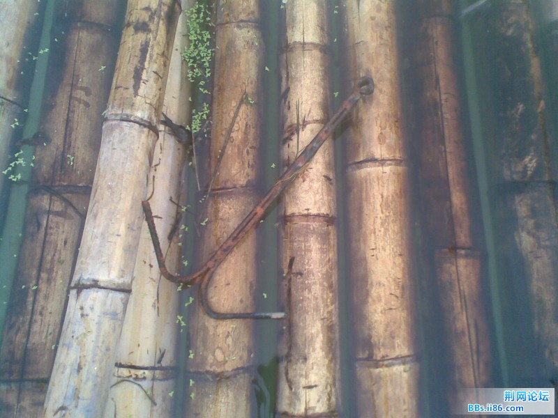 20110706.jpg
