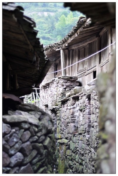 黄檀洞7.jpg