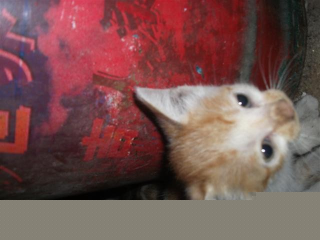 DSCF1211.jpg