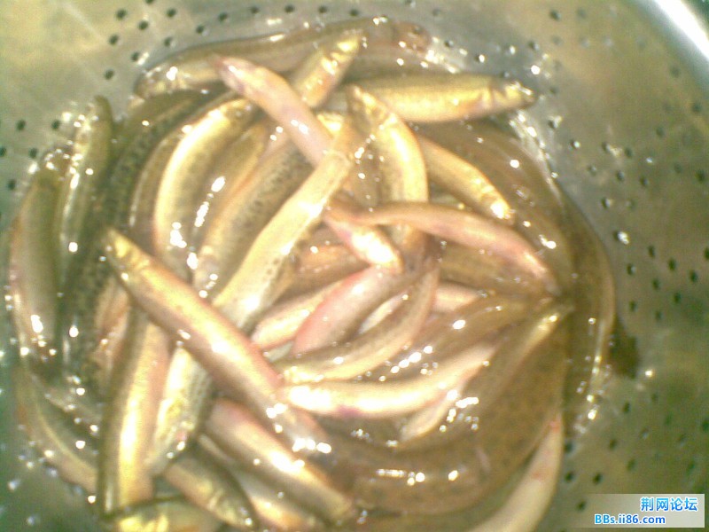 20110711(007).jpg