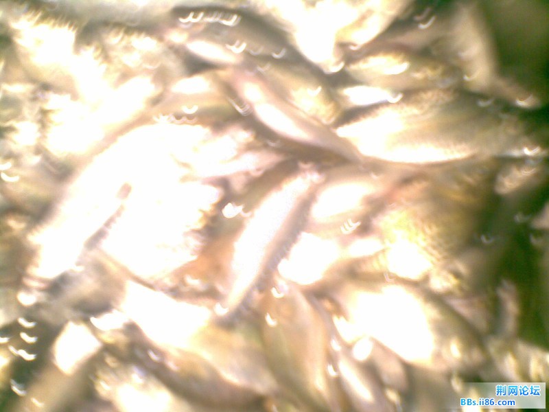 20110711(008).jpg