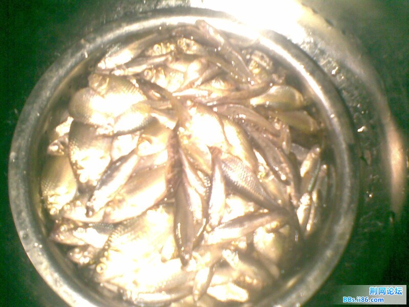 20110711(013).jpg