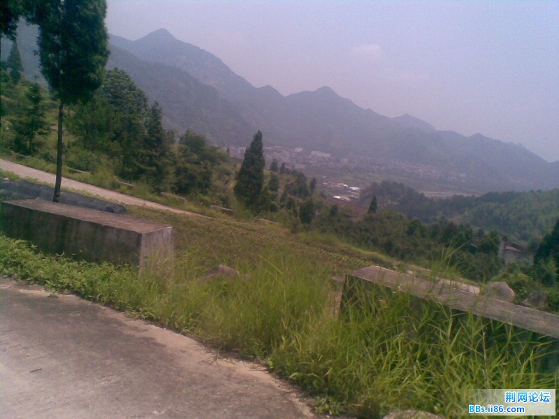 20110721(001).jpg