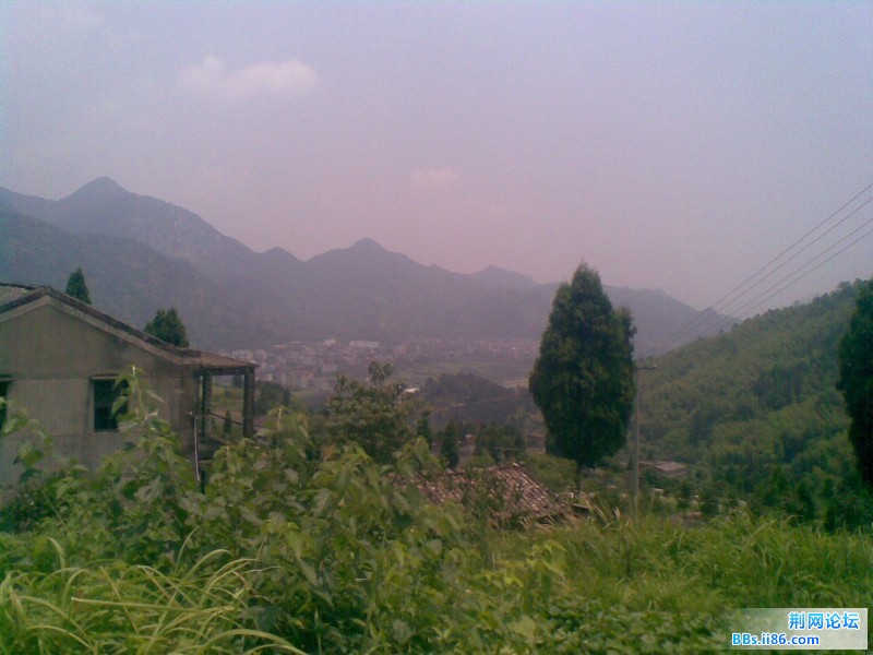20110721(002).jpg